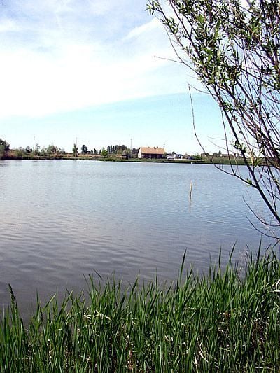 Nagyvenyimi Horgásztó